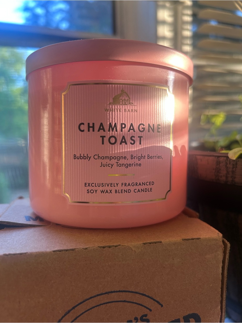 White Barn Pink Champagne Toast Scented Candle